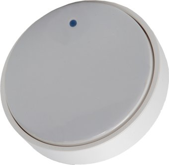 Кнопка дистанционного управления Bort для Alligator Max 93415674