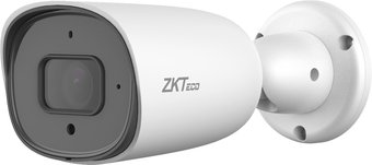IP-камера ZKTeco BS-852T22C-MI