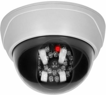 Муляж Virone CD-6