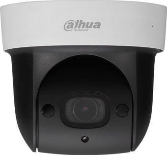 IP-камера Dahua DH-SD29204T-GN