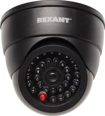 IP-камера Rexant 45-0230