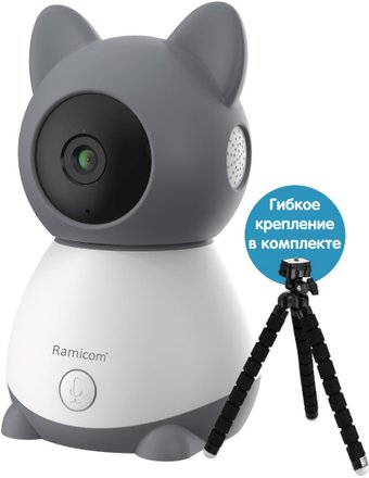 Дополнительная камера Ramicom VRC300CTR