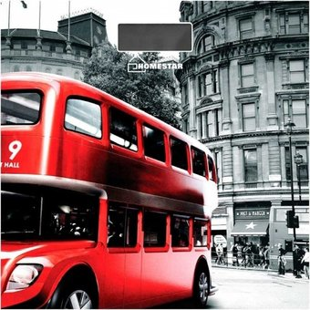 Напольные весы HomeStar HS-6001F - 1/1