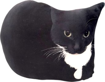 Декоративная подушка Мальвина Максвелл Кот Мем 9.438.1 - 1/1