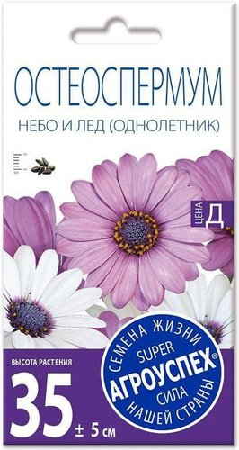 Семена цветов Агроуспех Остеоспермум Небо и лед смесь 43767 0.2 г - 1/1