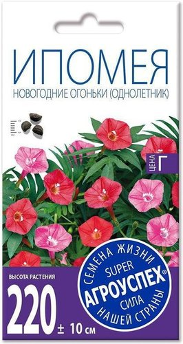 Семена цветов Агроуспех Ипомея Новогодние огоньки 47501 0.5 г - 1/1