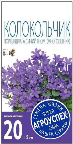 Семена цветов Агроуспех Колокольчик портеншлага Синий гном 74100 0.01 г - 1/1