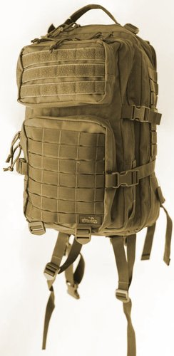 Туристический рюкзак TRAMP Squad 35 (песочный) - 1/1