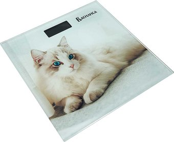 Напольные весы Василиса ВА-4015 Невская кошка - 1/1