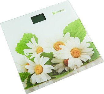 Напольные весы Василиса ВА-4007 Букет ромашек - 1/1