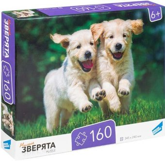 Пазл Dream Makers Зверята RI1603C - 1/1