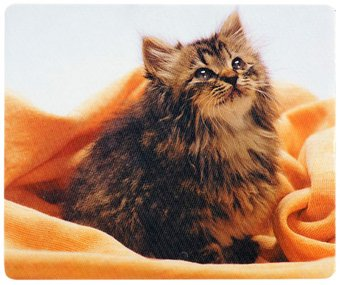 Коврик для мыши Defender Silk (50706) - 1/1