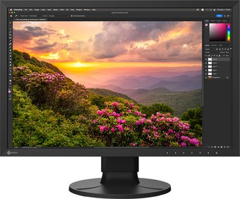Монитор EIZO ColorEdge CS2400S - 1/1