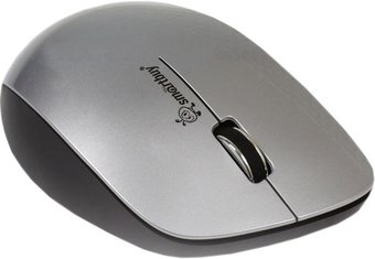 Мышь SmartBuy 309AG Silver/Black (SBM-309AG-SK) - 1/1