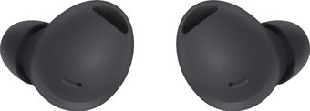 Наушники Samsung Galaxy Buds 2 Pro (графитовый) - 1/1