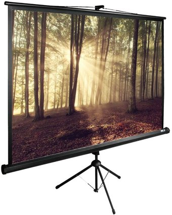 Проекционный экран CACTUS TriExpert 135x180 CS-PSTE-180X135-BK - 1/1