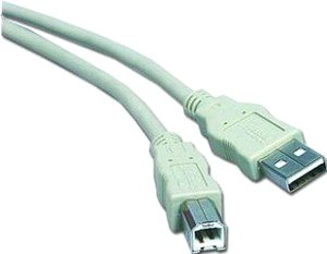 Кабель Cablexpert CC-USB2-AMBM-10 - 1/1