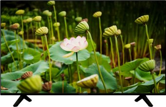 Телевизор Thomson T55USL7010 - 1/1