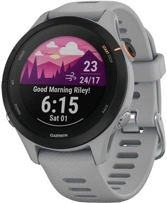 Умные часы Garmin Forerunner 255S (светло-серый/черный) - 1/1