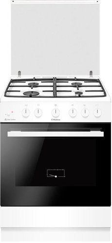 Кухонная плита Hansa FCGW63193 - 1/1