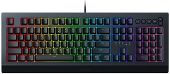 Клавиатура Razer Cynosa v2 - 1/1