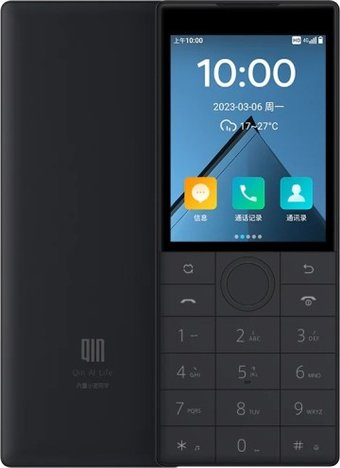 Кнопочный телефон QIN F22 2GB/16GB (китайская версия, черный) - 1/1