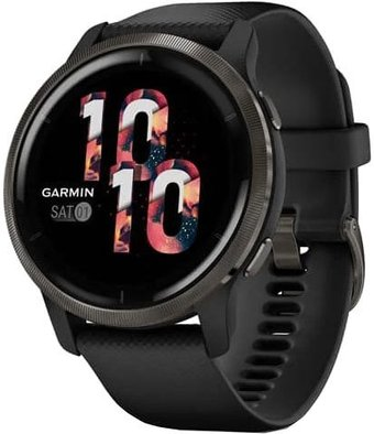 Умные часы Garmin Venu 2 (сланцевая нержавеющая сталь/черный) - 1/1