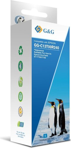 Чернила G&G GG-C13T00R240 - 1/1