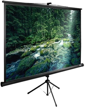 Проекционный экран CACTUS TriExpert 165x220 CS-PSTE-220X165-BK - 1/1
