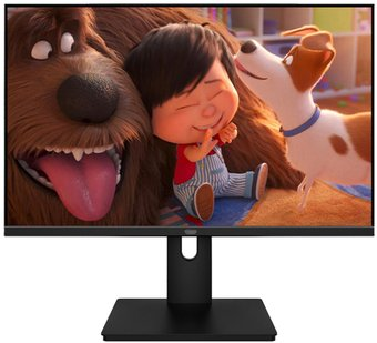 Монитор Aiwa MF2203 - 1/1