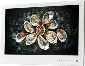 Телевизор AVEL AVS240WS (белый) - 1/1