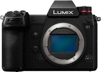 Беззеркальный фотоаппарат Panasonic Lumix DC-S1 Body - 1/1