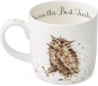 Кружка Royal Worcester Забавная фауна Сова и совенок RWC MMSJ5629-XT-1 - 1/1