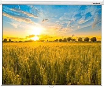 Проекционный экран Lumien Eco Picture 127x200 LEP-100122 - 1/1