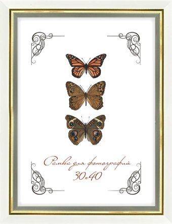 Фоторамка Палитра 12/602 35x50 (белый) - 1/1