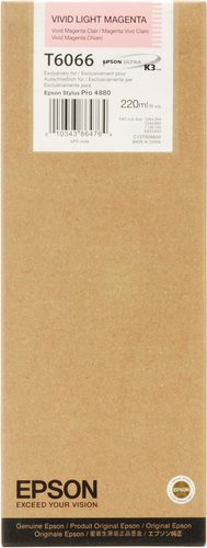 Картридж Epson C13T606600 - 1/1