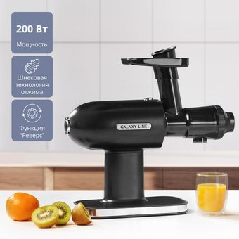 Соковыжималка Galaxy Line GL0813 - 1/1