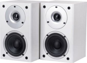 Полочная акустика WILSON Raptor Mini (белый) - 1/1