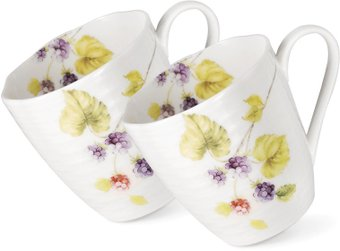 Набор кружек Fissman Floriana 3644 (2шт) - 1/1