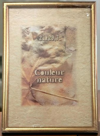 Фоторамка Волшебная мастерская А4-золото - 1/1