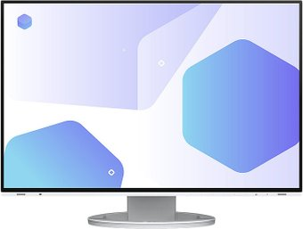 Монитор EIZO FlexScan EV2485-WT - 1/1