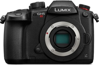 Беззеркальный фотоаппарат Panasonic DC-GH5S Body - 1/1