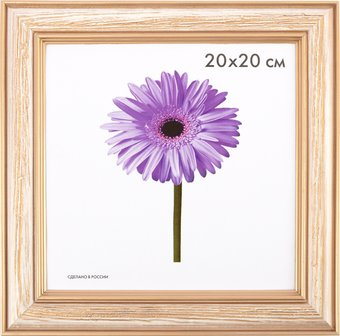 Фоторамка Gamma МРД-01 №06 20x20 см (патина под золото) - 1/1