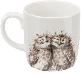 Чашка Royal Worcester Забавная фауна Совушки RWC MMMR4020-XD - 1/1