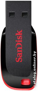 USB Flash SanDisk Cruzer Blade 32 Гб (SDCZ50-032G-A11) - 1/1