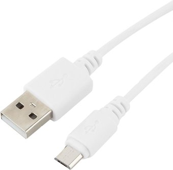 Кабель Cablexpert CC-mUSB2-AMBM-1MW - 1/1