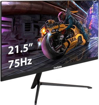 Монитор ExeGate ProSmart EV2207A EX294343RUS - 1/1