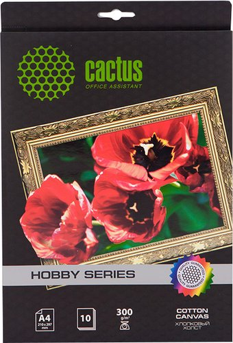 Холст CACTUS Хлопковый холст A4 300 г/кв.м. 10 листов (CS-СA426010) - 1/1