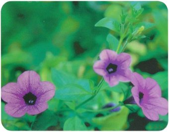 Коврик для мыши Buro BU-M20012 "Цветы" - 1/1