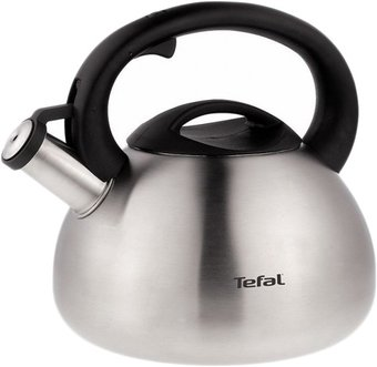 Чайник со свистком Tefal C7921024 - 1/1